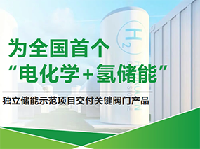 德赢VWIN服务天下首个“电化学+氢储能”树模项目Serving China’s First‘Electrochemical+Hydrogen Energy Storage’Demo Project